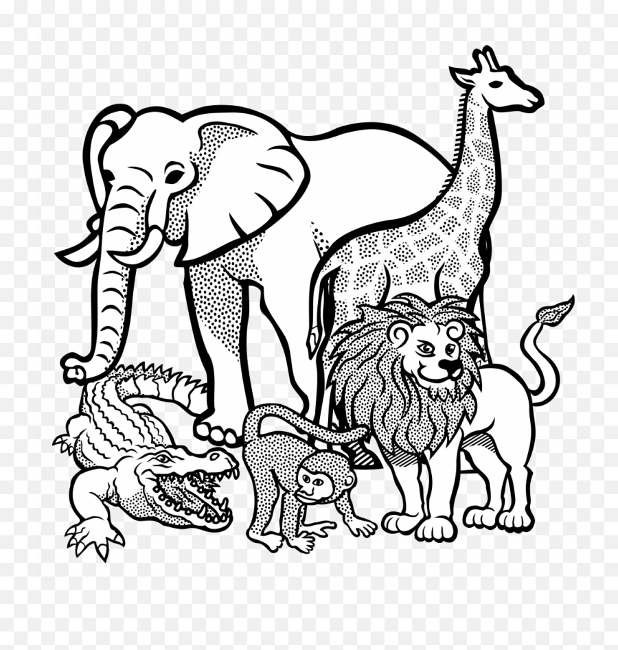 Download Hd Nice Elephant Drawing Outline Collection Of Free - Zoo Animals Clipart Black And White Png,Elephants Png