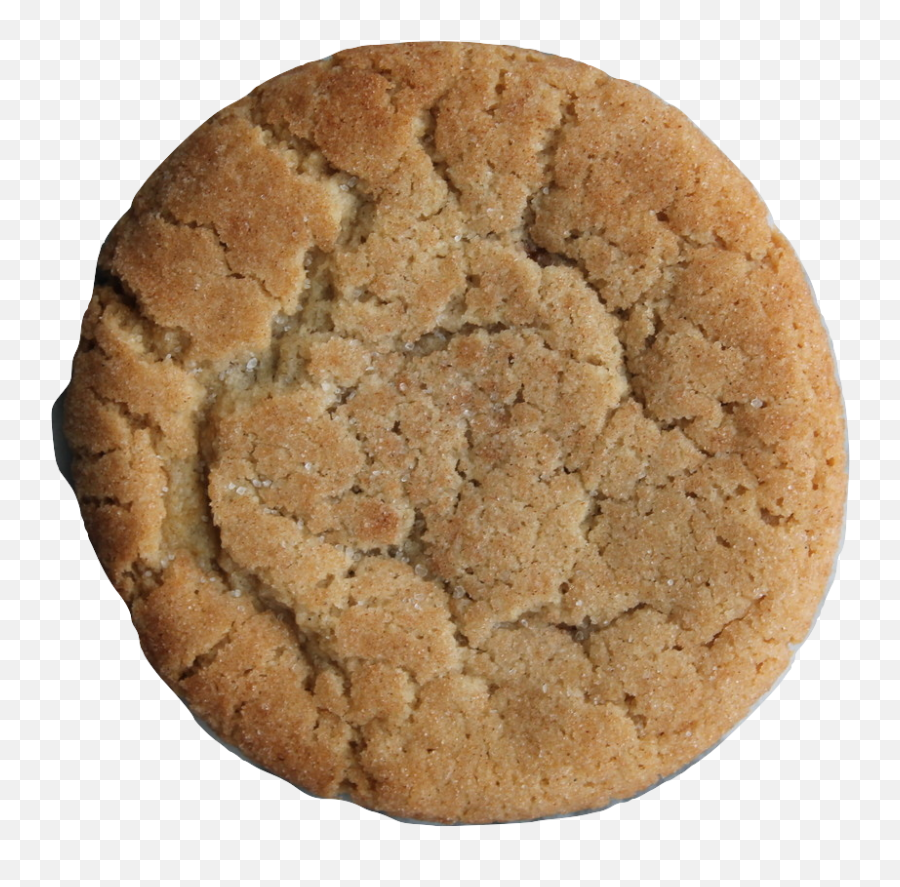 Salted Caramel Snickerdoodle - Oatmeal Cookie Clipart Png,Cookie Png