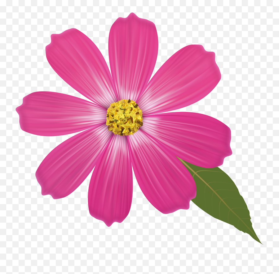 Transparent Background Clipart Flower - Flower Drawing Color Pencil Png,Clip Art Transparent Background