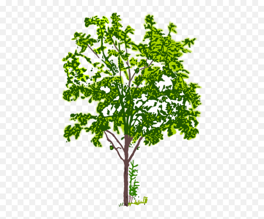 Tree Branch Computer Icons Crown Plants - Tree Png Bw,Tree Limb Png
