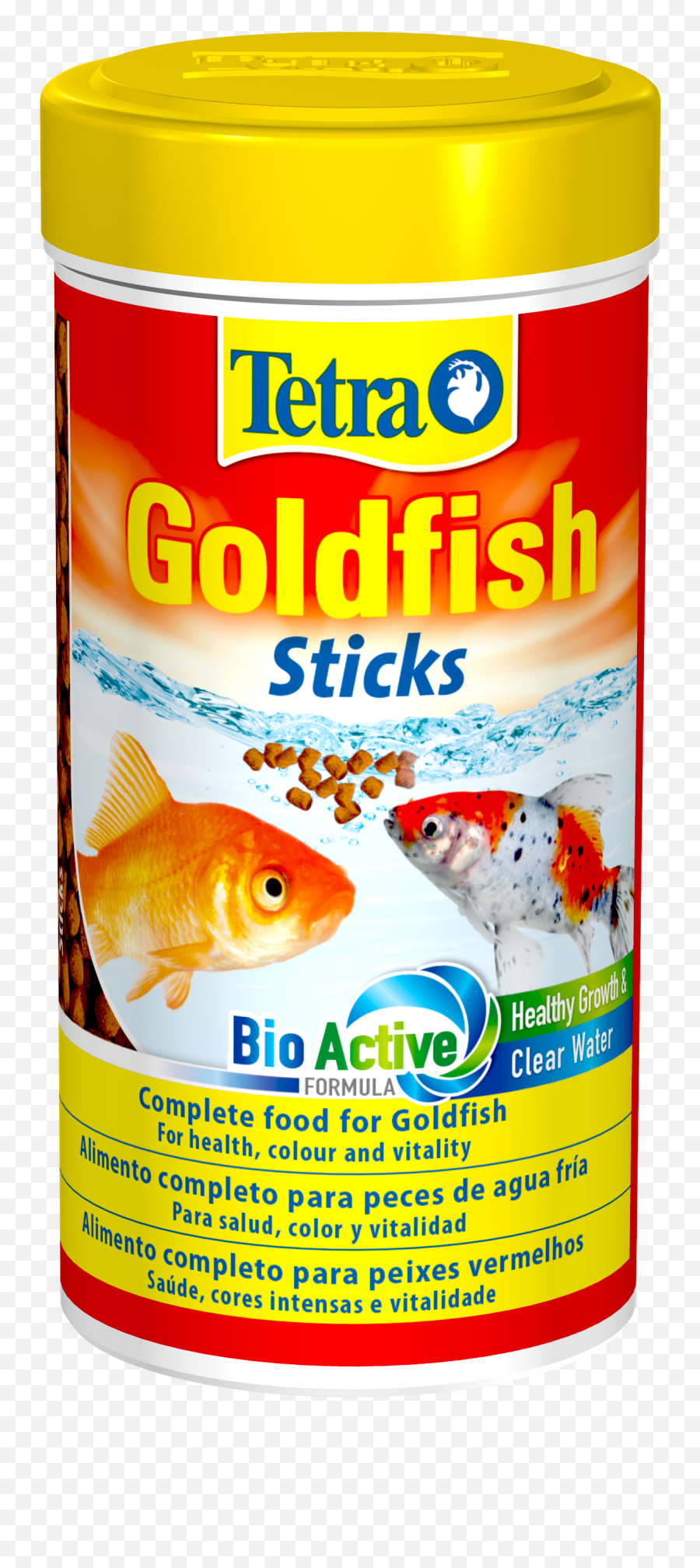 Goldfish - Tetra Png,Goldfish Png