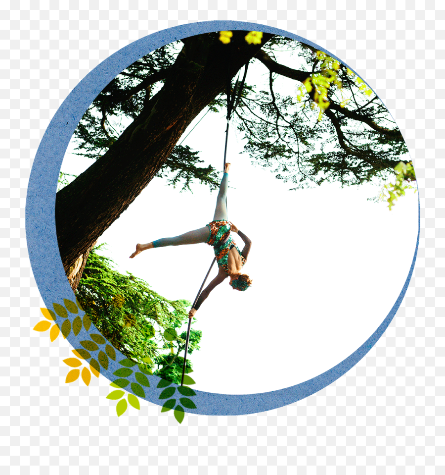 Forest Circus Rowanbank - Acrobatics Png,Forrest Png