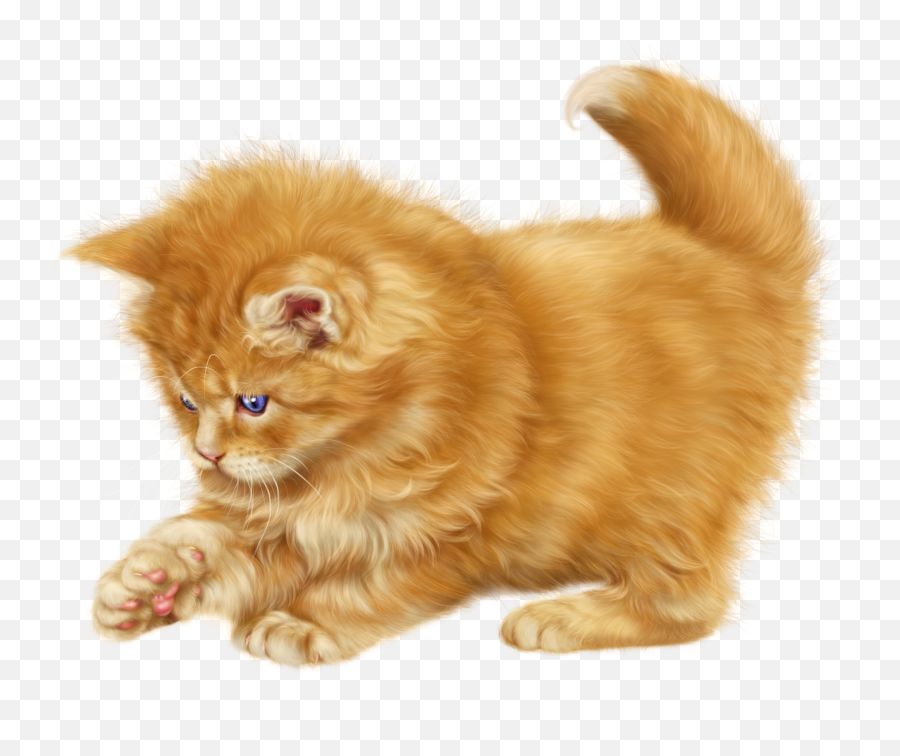 Cat Clipart Transparent Png Image - Transparent Cartoon Persian Cat Png,Cat Clipart Png