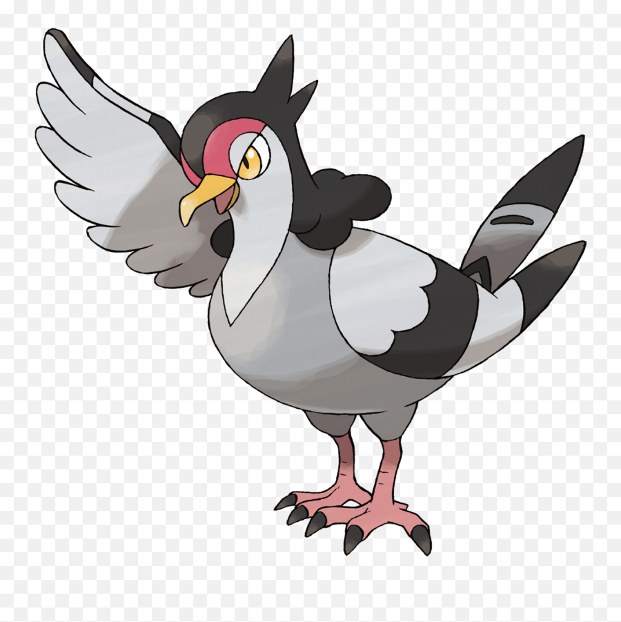 Tranquill - Black And White Bird Pokemon Png,Pidgey Png