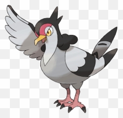Tranquill - Black And White Bird Pokemon Png,Pidgey Png