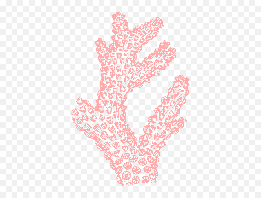 Download Coral Reef Colouring Pages - Pink Coral Clipart Transparent Png,Coral Transparent