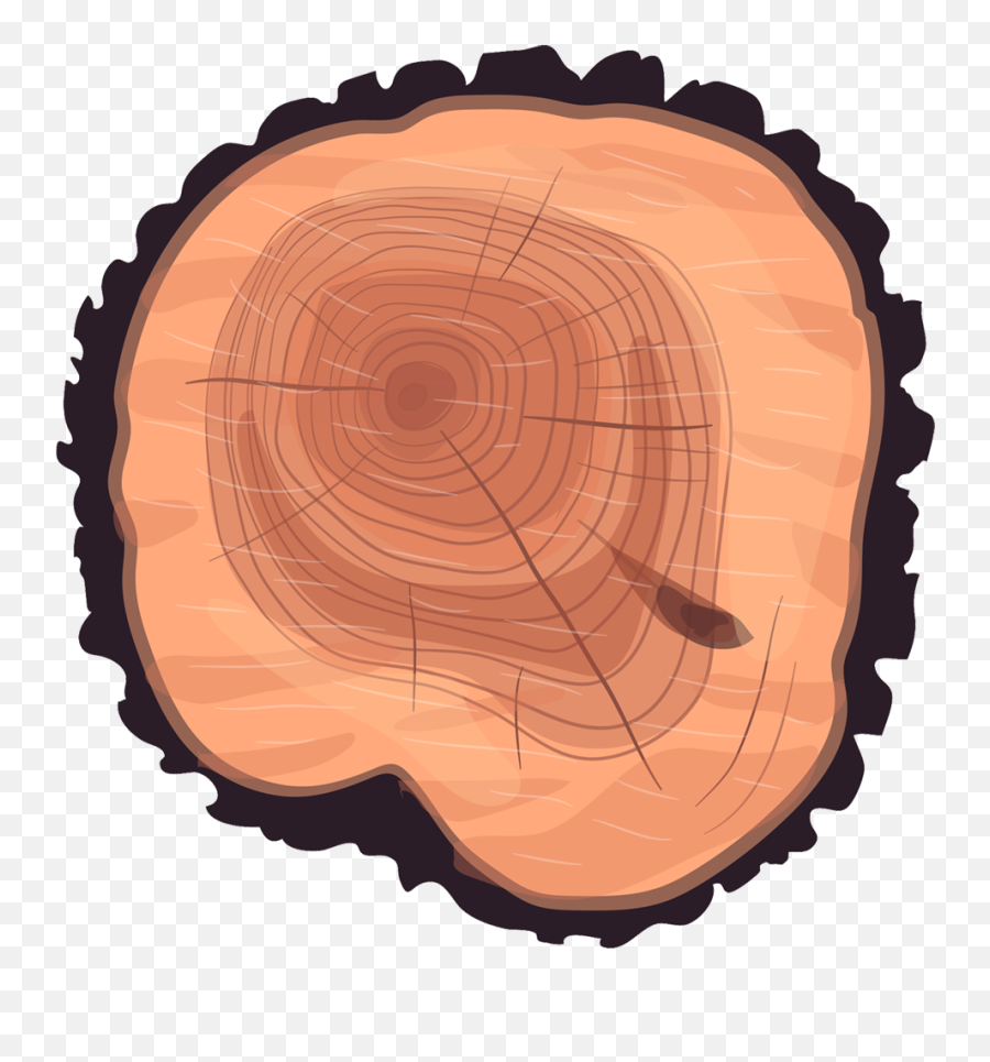 Download Wheel Eucalyptus Stump Tree - Cartoon Tree Trunk Texture Png,Stump Png