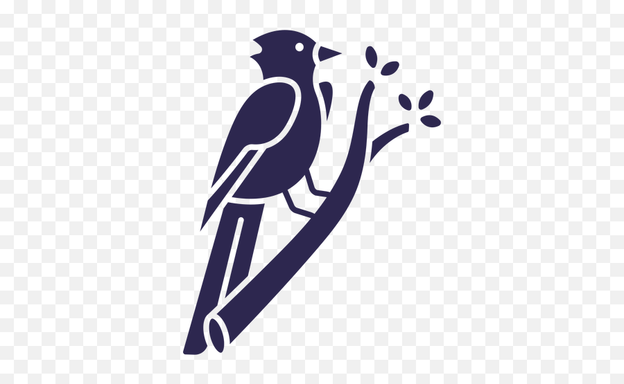 Blue Jay Bird Black - Transparent Png U0026 Svg Vector File Blue Jay Bird Svg,Blue Jays Logo Png