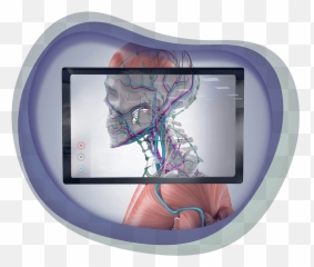 Chaos Theory - Sydneyu0027s AR VR and Mobile Game Developers Vein png