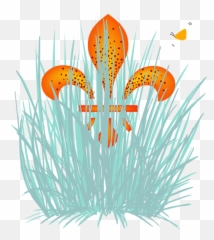 St Louis Native Plants - Drawing png