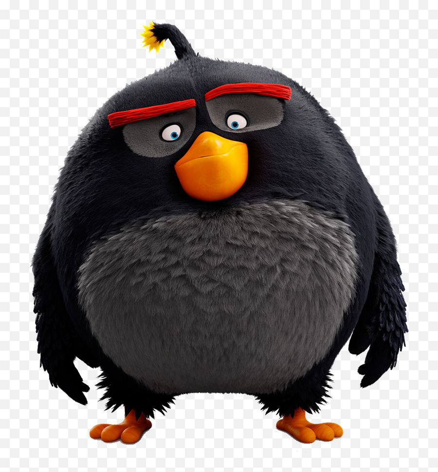 Bomb - Movie Angry Birds Characters Png,Black Bird Png