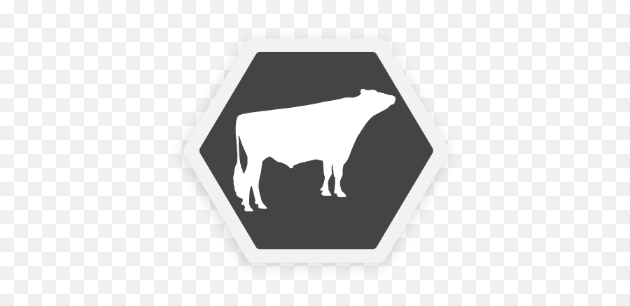 Select Sires - Cow Png,Livestock Icon