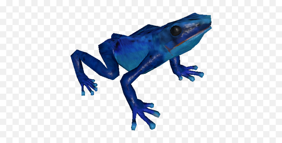 Poison Dart Frog - Official Green Hell Wiki Dart Frog Green Hell Png,Transparent Frog