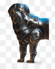 Steel Defender - Dnd png