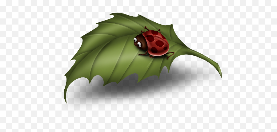 Free Pictures Leaf Download Png Images - Lady Bug On Leaf Cartoon,Ladybug Icon Leaf