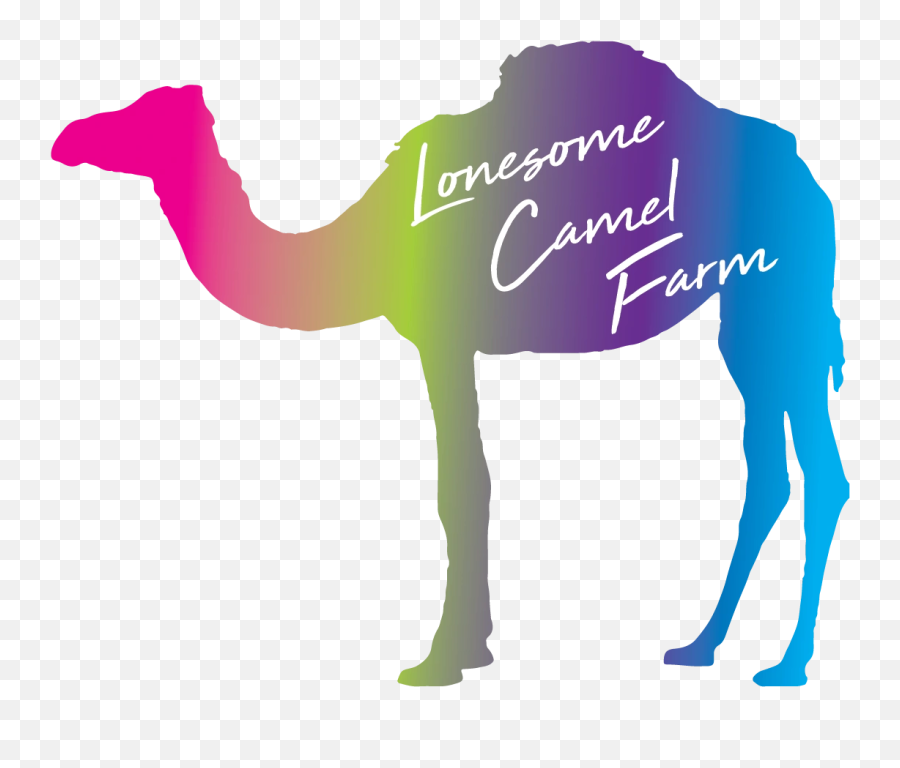 Cbd Smokeable Flower - Camel Clipart Png,Camel Logo