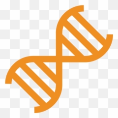 About Immunotherapy - Cancer Therapy CAR TCell Genetics Icon png