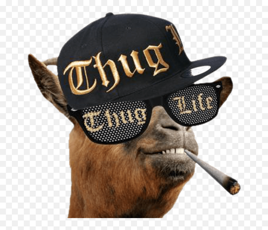 Thug Life Llama Transparent Png - Thug Life Emoji Png,Snoop Dogg Png