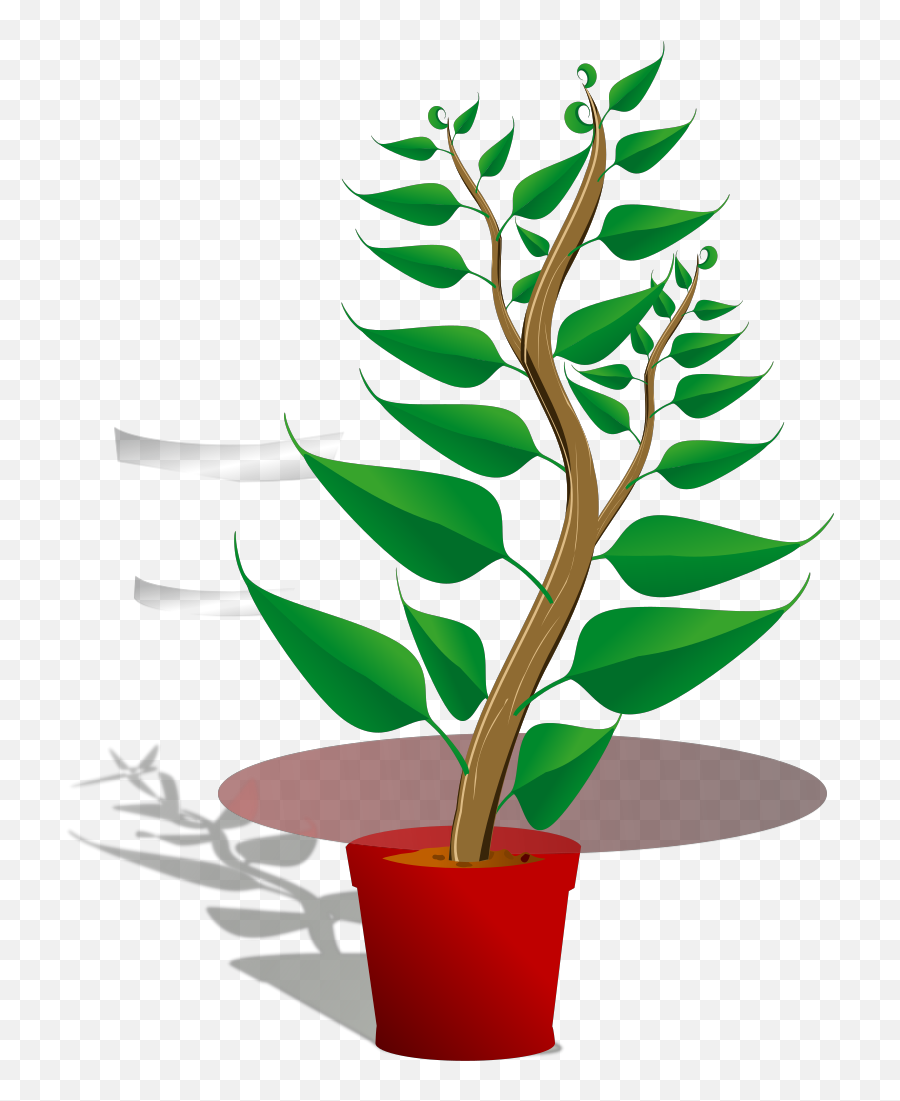 Tall Plant In Pot Png Svg Clip Art For Web - Download Clip Plant Clipart Png,Plant Pot Icon