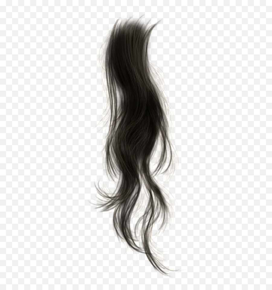 Photoshop Actions Wigs Hairdos - Black Hair Strands Png,Hair Strand Png
