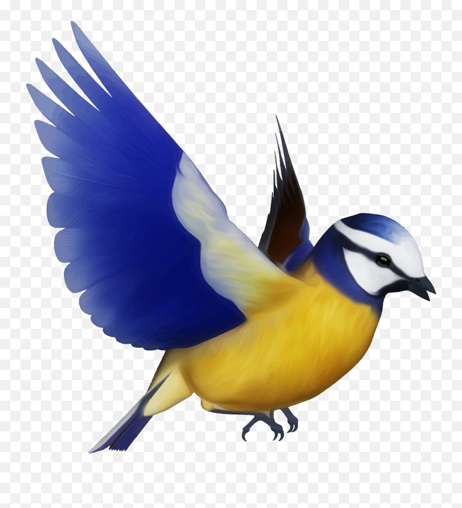 Birds Png Picture - Colorful Flying Birds Png,Birds Png