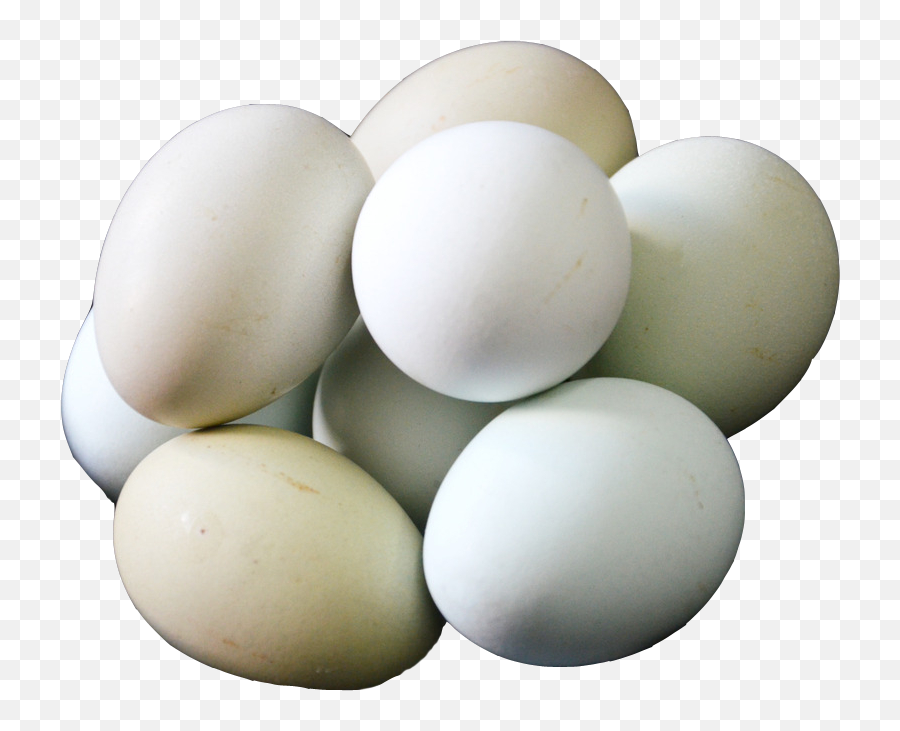 Salted Duck Egg White - A Bunch Of Duck Png Download Salted Duck Egg,Egg Png