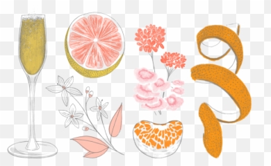 Download Clip Freeuse Stock Brunch - Champagne Brunch Illustrations Png,Mimosa Png
