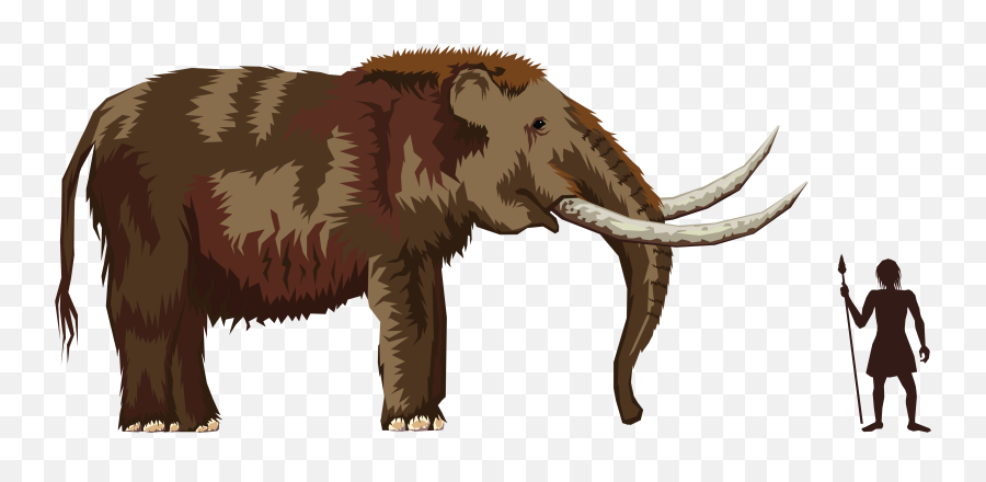 Mastodon Clipart Png Image With No - Mammoth Clipart,Mastodon Png