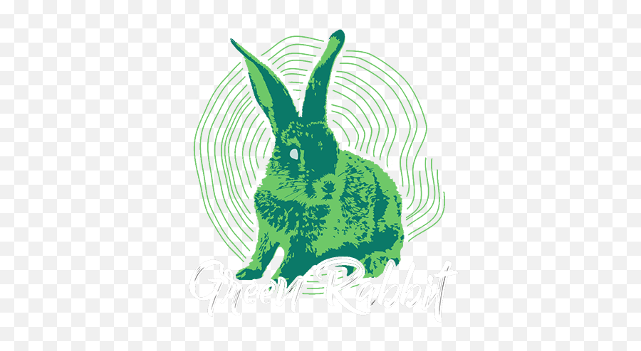 Pc Dive Club Logo - Domestic Rabbit Png,Rabbit Logo