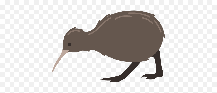 Kiwi Bird Png 5 Image - Kiwi Bird Cartoon Png,Kiwi Bird Png