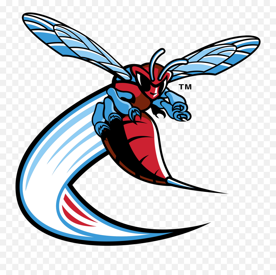 Delaware State Hornets Logo Png - Delaware State University Mascot,Hornets Logo Png