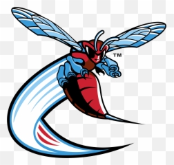 Delaware State Hornets Logo Png - Delaware State University Mascot,Hornets Logo Png