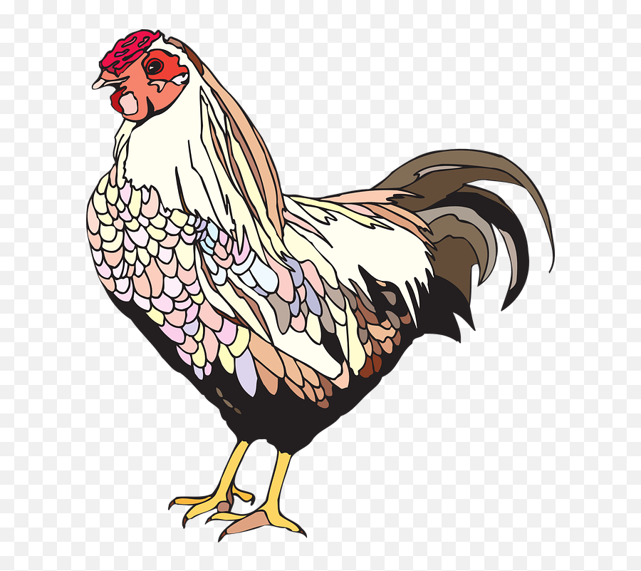 Mother Clipart Chicken Transparent Free For - Png Free Svg Chicken,Chicken Clipart Png