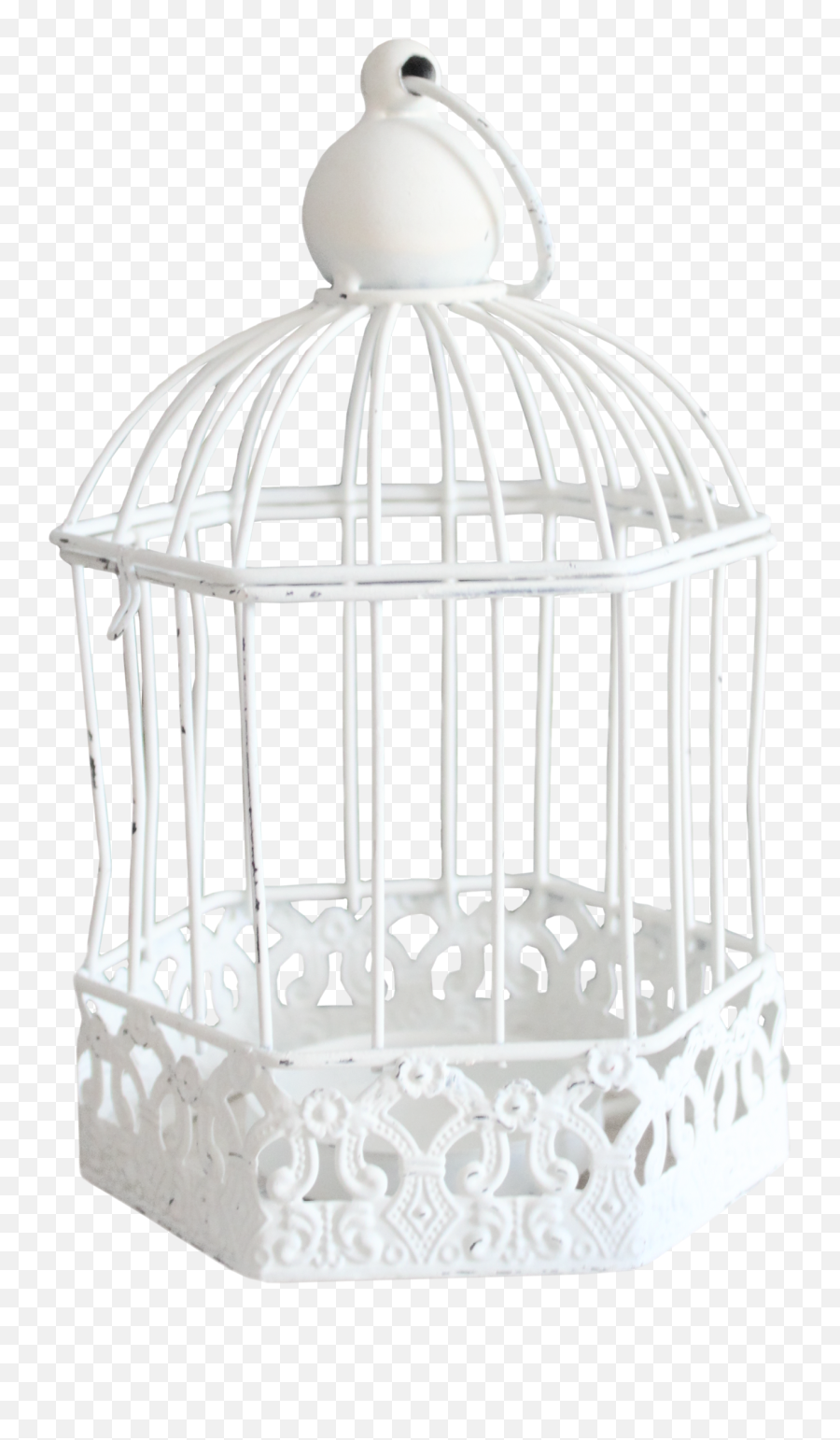 Cage Bird Png Transparent Background