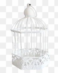 Cage Bird Png