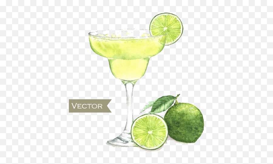 Download Cocktail Martini Painting Fresh - Transparent Margarita Cocktail Drawing Png,Cocktails Png