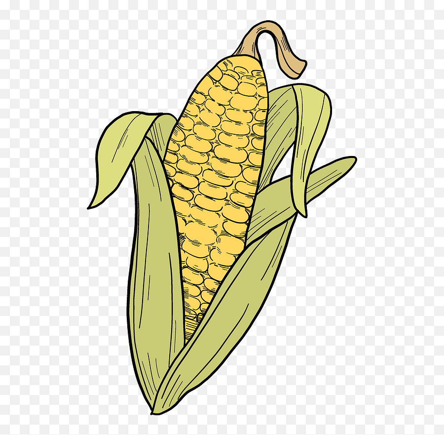 Corn Cob Clipart Free Download Transparent Png Creazilla - Clip Art,Corn On The Cob Png
