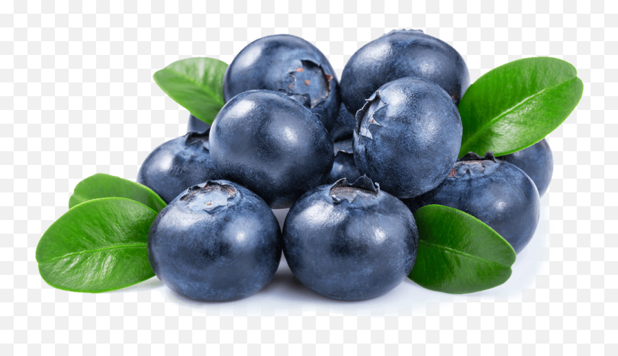 Blueberries Png - Transparent Background Blueberry Png,Blueberry Transparent Background
