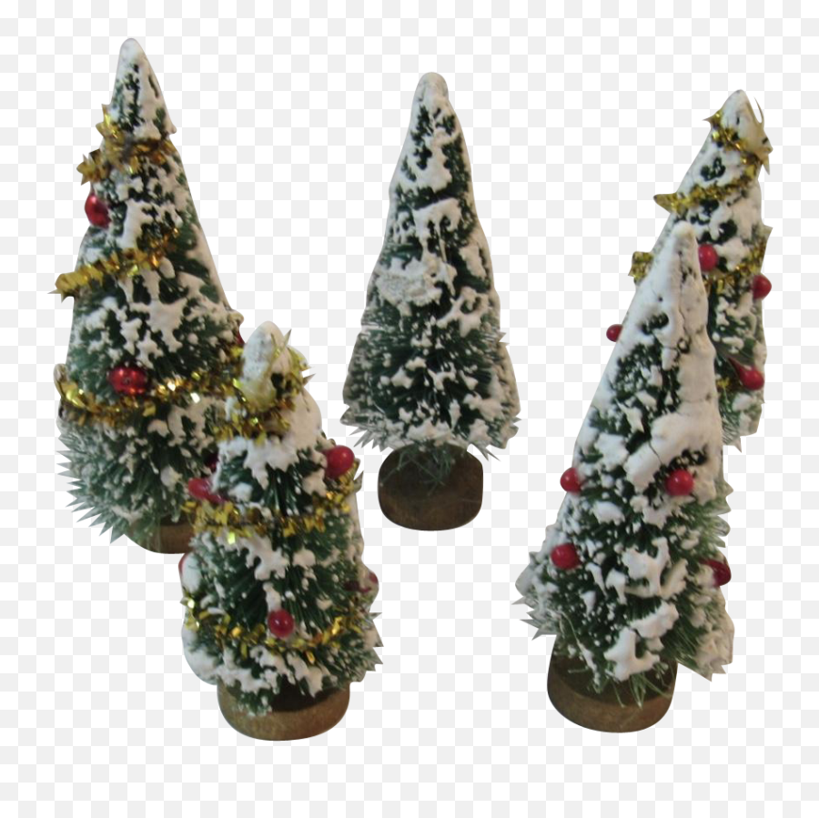 Download 5 Flocked Bottle Brush Trees - Christmas Tree Png,Tinsel Png