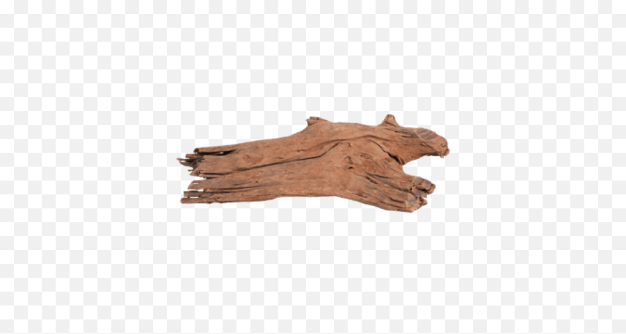 Aquarium Driftwood Transparent Png - Rawhide,Driftwood Png