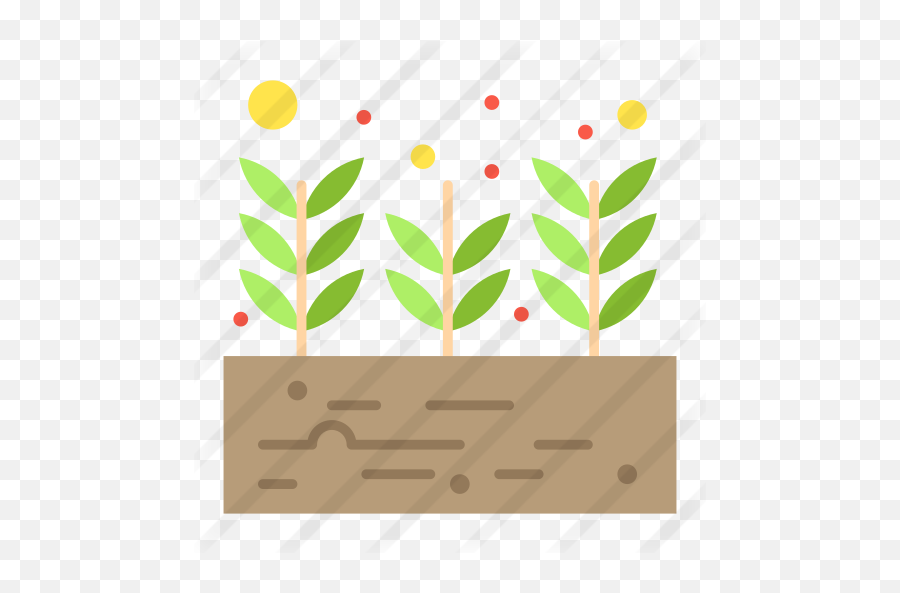 Growing Plant - Soil Png,Growing Plant Png