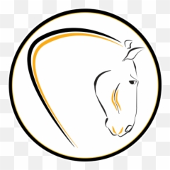 Download Matthew Moister Horse Dentist - Stallion Png,Hell Png