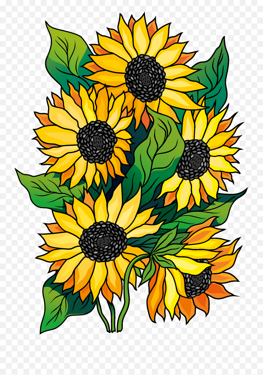 Sunflower Clipart - Fresh Png,Sunflower Clipart Png