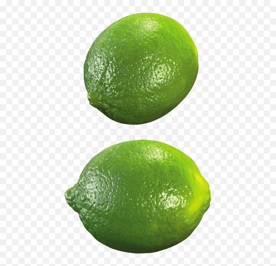 Download Free Png Lime Images - Lemon,Lime Transparent