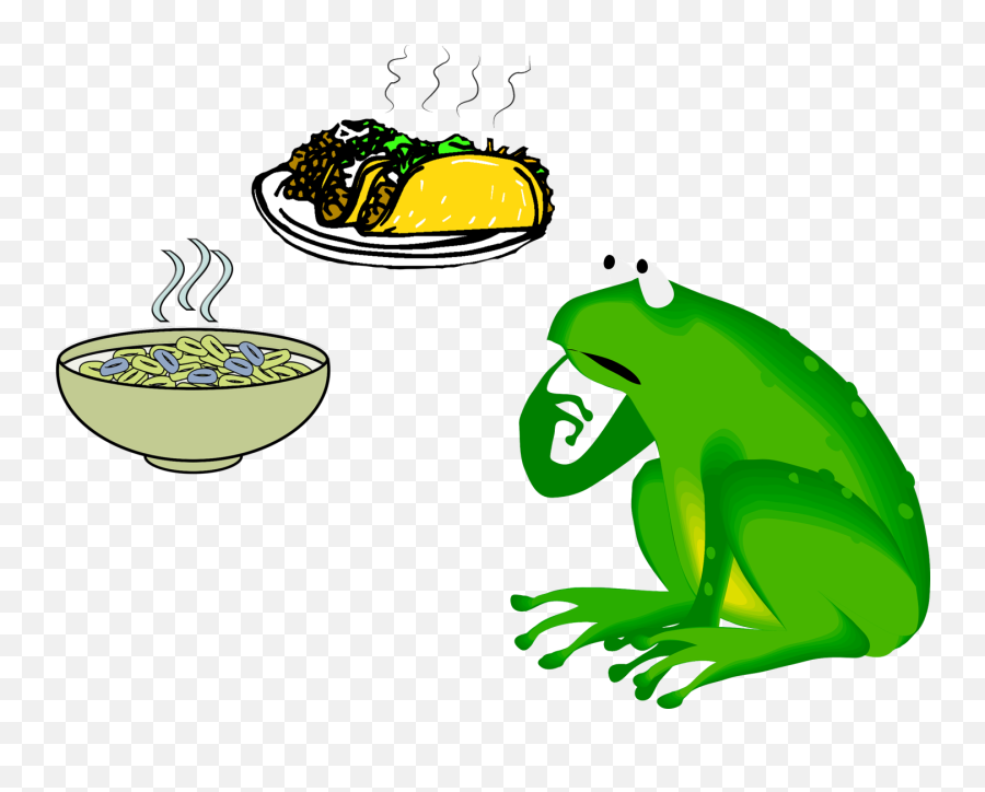 How About Some Marscapone - Frog Belated Birthday Png,Quesadilla Png