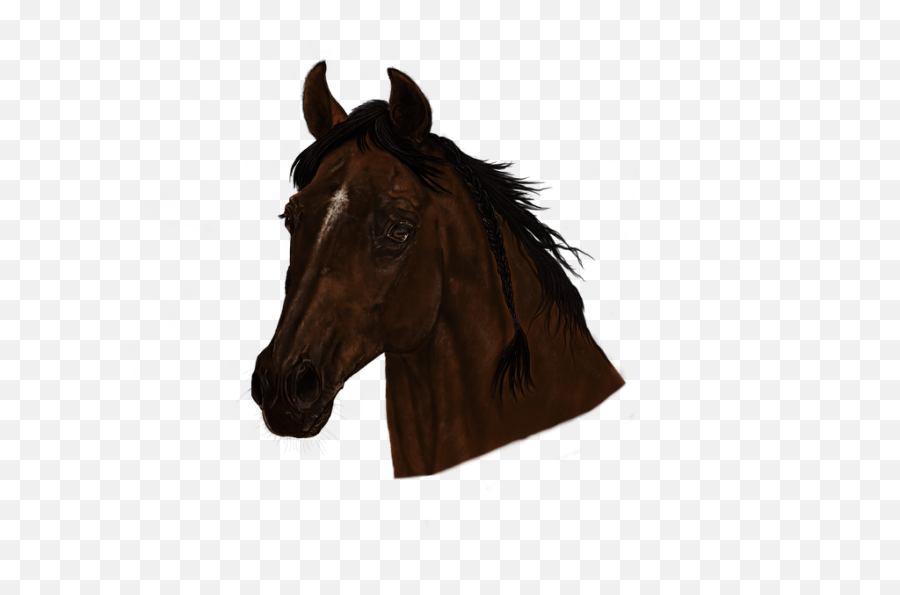 Portrait Horse Head - Mustang Png,Horse Head Png