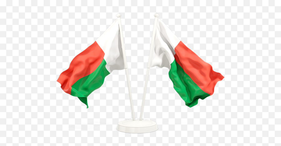 Download Hd Waving Guyana Flag Png - Saudi Arabia And Afghanistan,Guyana Flag Png