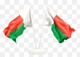 Download Hd Waving Guyana Flag Png - Saudi Arabia And Afghanistan,Guyana Flag Png
