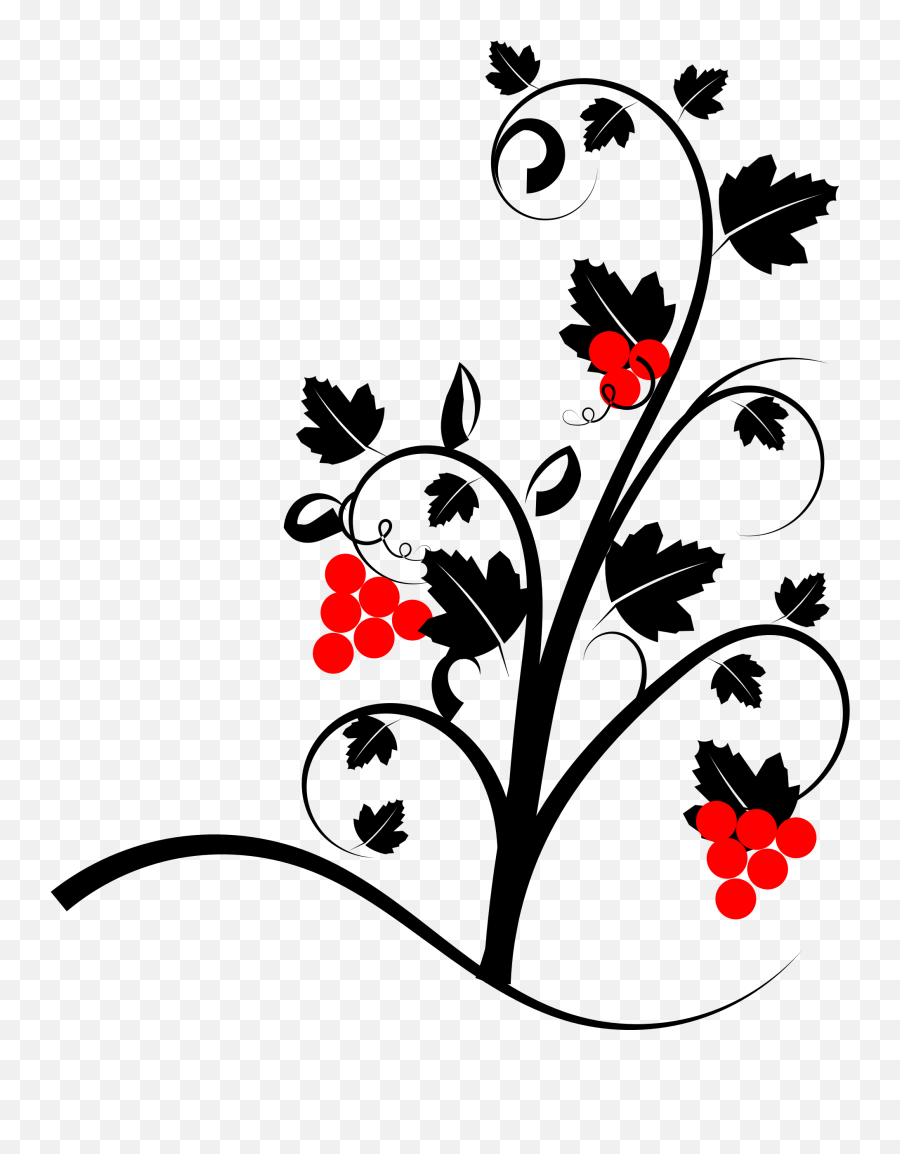 Green Ivy Png Picture - Clipart Vine,Creepers Png