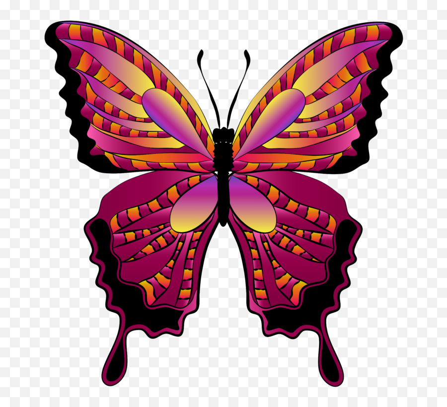 Butterfly Clipart - Png Download Full Size Clipart Butterfly Clipart Free,Butterfly Clipart Png